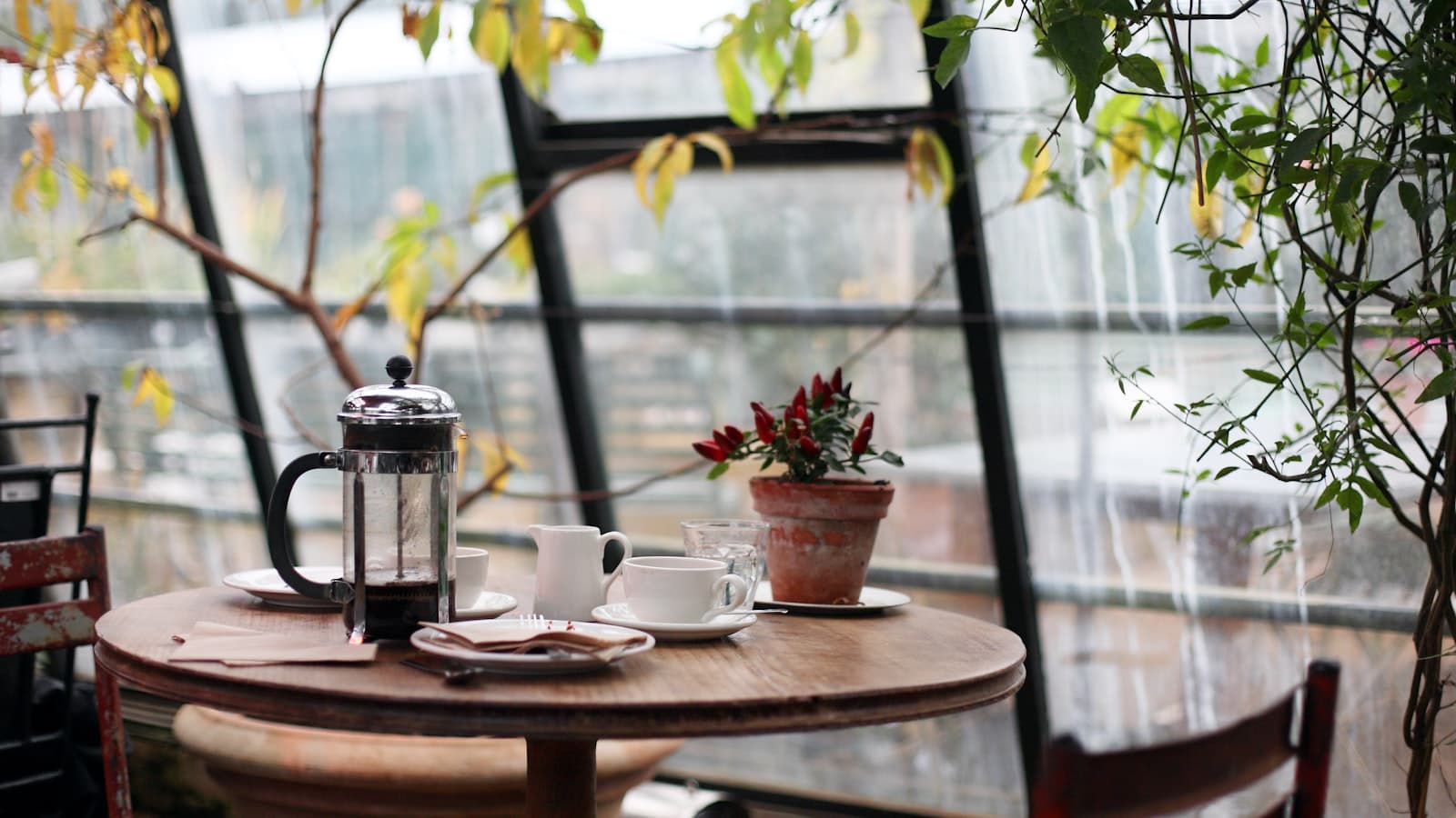 Bean to Cup, Every Morning