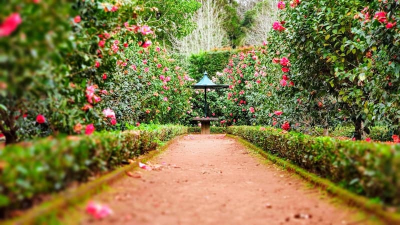 Garden landscaping